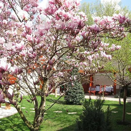 Feriehus Szegfu Apartman *